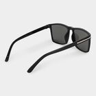 Ladies Sunglass, , small