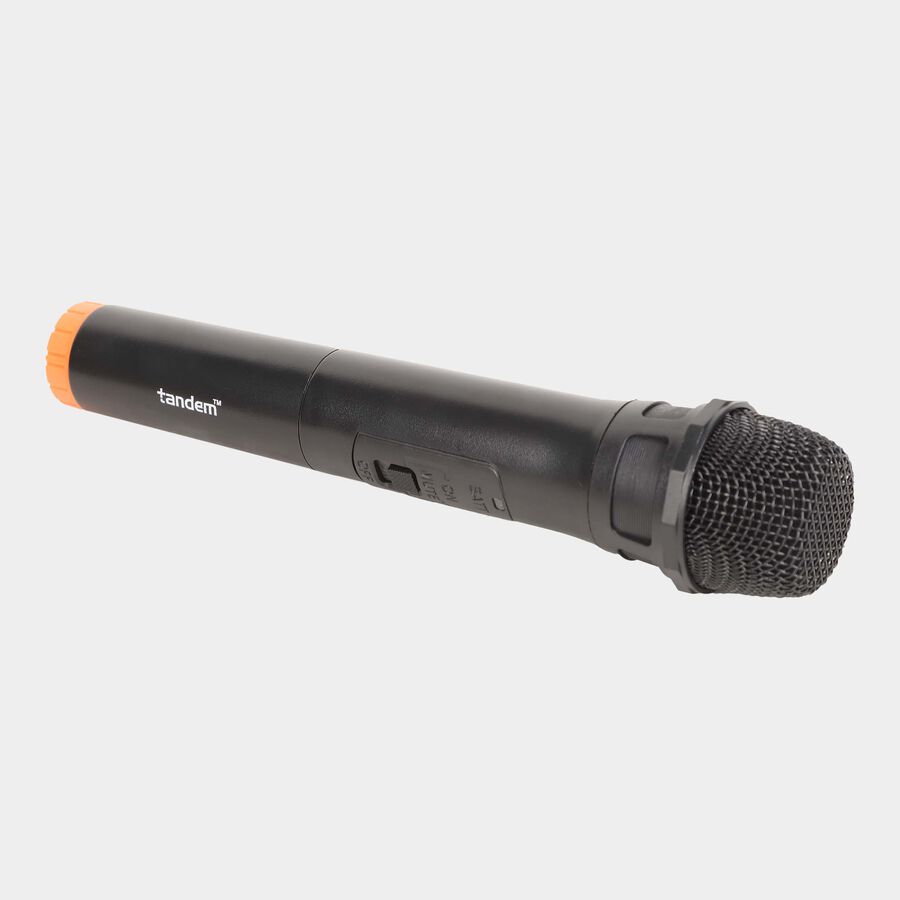 Plastic Speaker, 300 mm X 245 mm X 455 mm, 2000 mAH X2, 40 W RMS, , large image number null