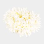 Women's Plastic Hairband, , small image number null