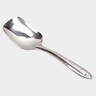 Stainless Steel Serving Spoon, , small image number null