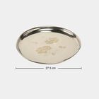 Stainless Steel Plate, , small image number null