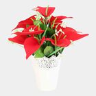 Artificial Plant, , small image number null