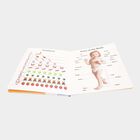 Paper Board Book, Assorted, 210 mm X 297 mm, 18 pages - Colour/Design May Vary, , small image number null