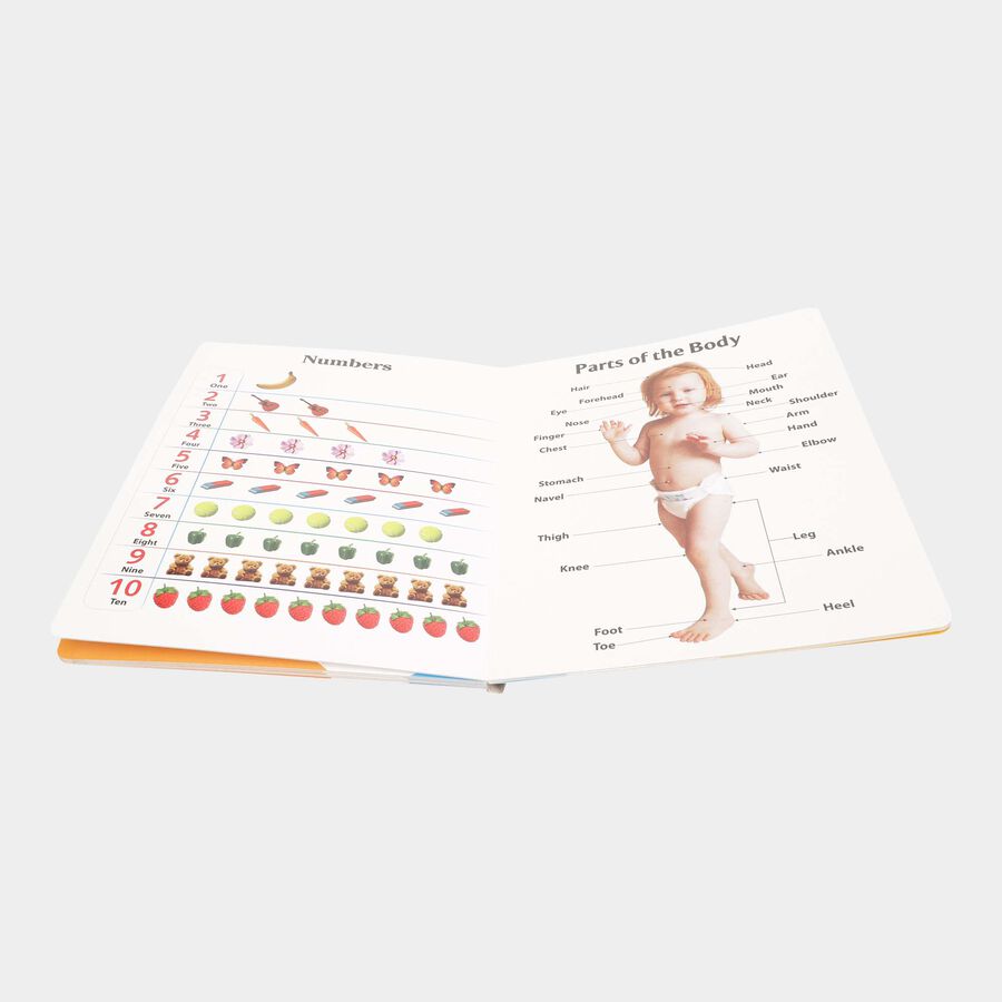 Paper Board Book, Assorted, 210 mm X 297 mm, 18 pages - Colour/Design May Vary, , large image number null