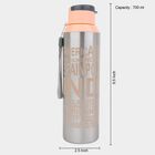 700 ml Steel Bottle, , small image number null
