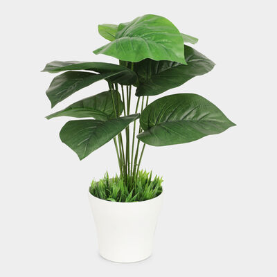 Plastic Artificial Plant