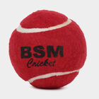 Tennis Ball 1 Pc. Poly Pack, , small image number null