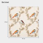 104 TC Cotton Blend Single Bedsheet, , small image number null