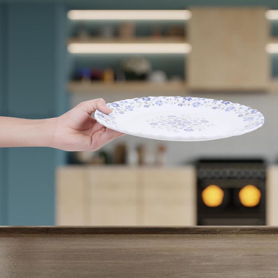 Melamine Full Plate, , large image number null