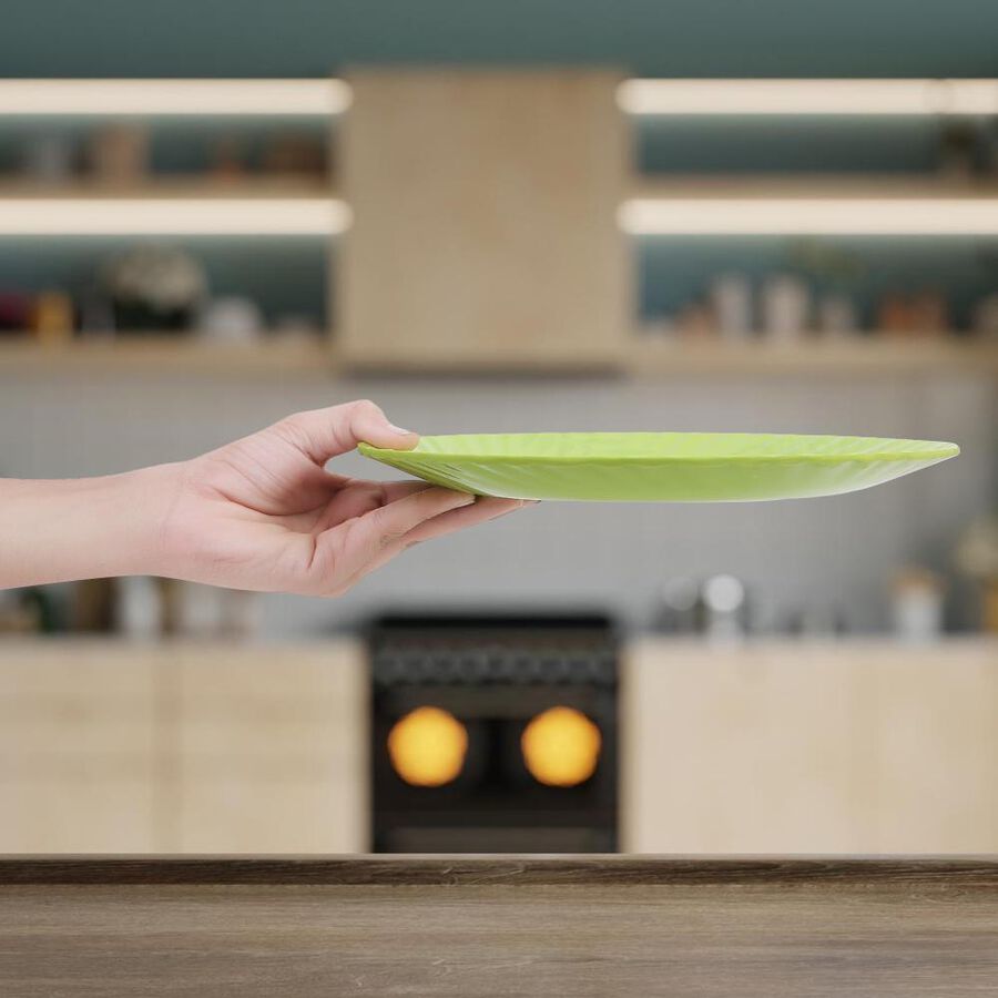 Melamine Full Plate, , large image number null