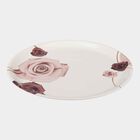 Melamine Full Plate, , small image number null