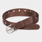 Women's Brown Nylon and Polyester Belt, , small