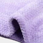 250 GSM Polyurethanerple Microfiber Baby Towel, , small image number null