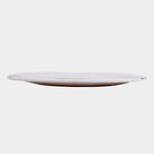 Melamine Full Plate, , small