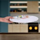 Melamine Full Plate, , small