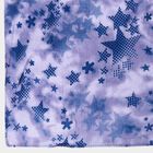 Women's Blue Cotton Scarf, , small image number null
