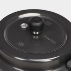 5 L Stainless Steel Pressure Cooker, , small image number null