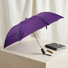 Woman's Purple Polyester Umbrella, , small