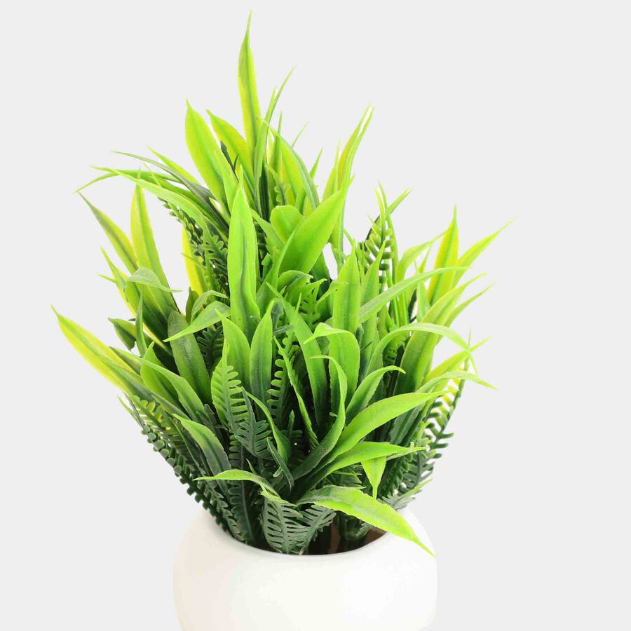 Plastic Artificial Plant, , large image number null