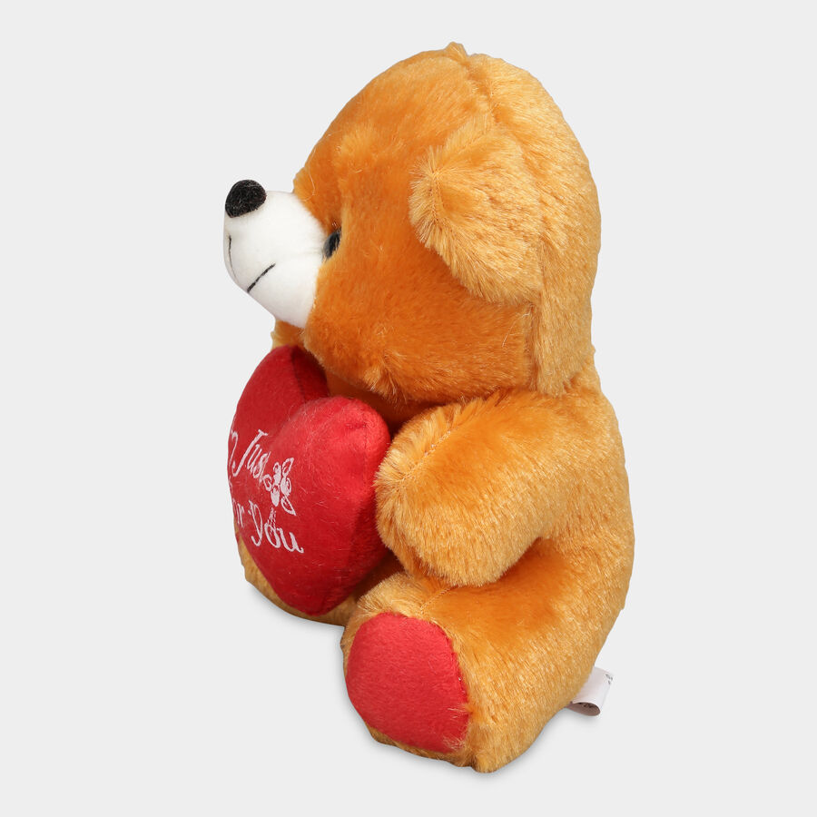 Brown Soft Teddy, , large image number null