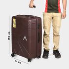 4-Wheel Brown Polypropylene Hard Case Trolley, Small + Medium + Large, , small image number null