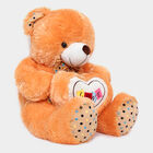 Pink Soft Teddy, , small image number null