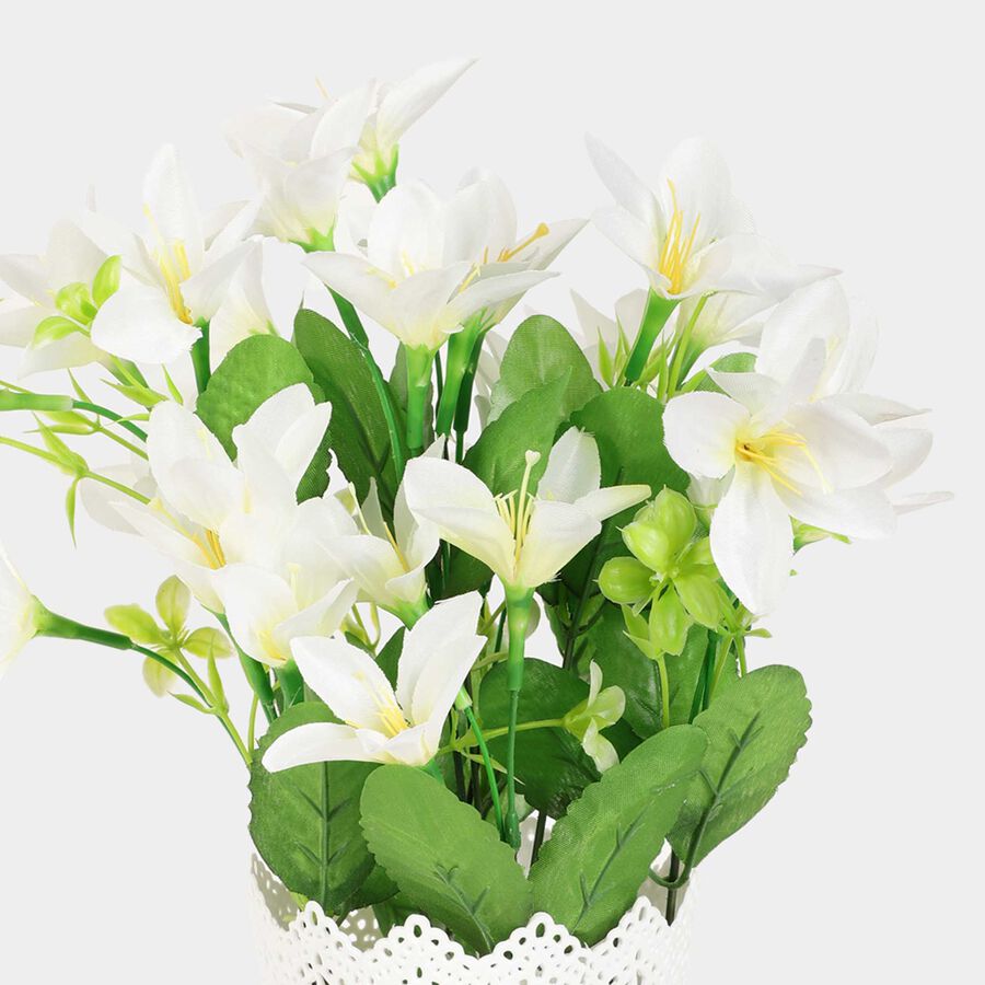 Decorative Plant, , large image number null