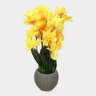 Plastic Artificial Plant, , small image number null
