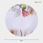 Melamine Full Plate, , small