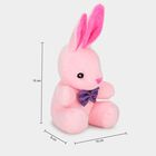 Kid's Cute Pink Bunny Rabbit Plush Toy, , small