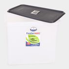 22 L Plastic Container, , small image number null
