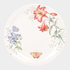 Full Plate, , small image number null