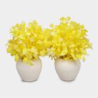 Plastic Artificial Plants, , large image number null