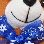 Brown Soft Teddy, , small image number null