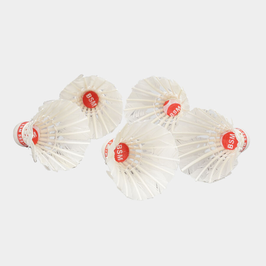 Feather Shuttlecock 5 Pcs Jar Pack, , large image number null