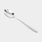Stainless Steel Spoon, , small image number null