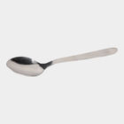 Stainless Steel Spoon, , small image number null