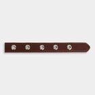 Women's Brown Polyurethane Belt, , small image number null