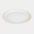 27.5 dia Melamine Full Plate, , small image number null