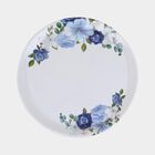 Melamine Full Plate, , small image number null
