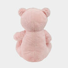 Pink Soft Teddy, , small image number null