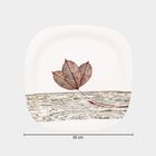 Melamine Full Plate, , small