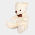 Fabric Teddy Bear, , small