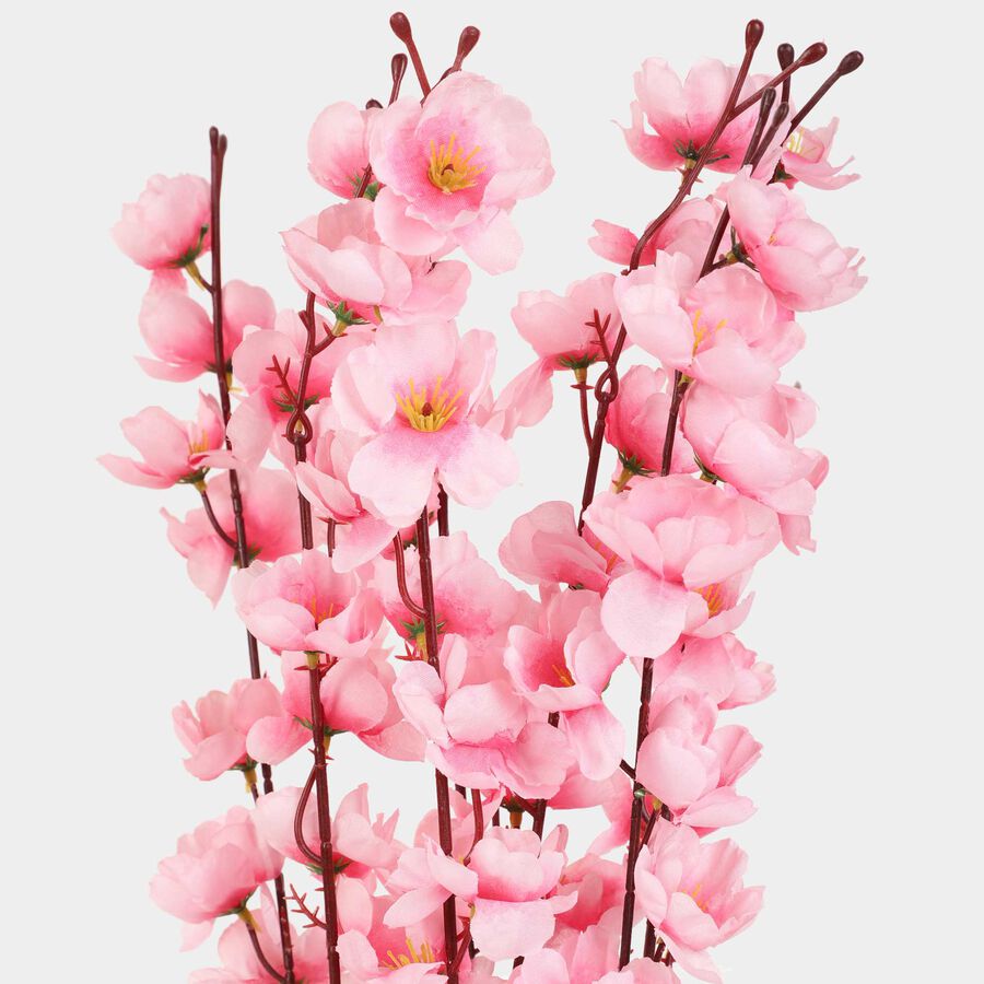 Decorative Plant, , large image number null