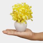 Plastic Artificial Plants, , large image number null