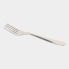 Stainless Steel Fork Set of 4, , small image number null