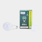 LED Bulb Inverter 10W Bulb , , small