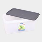 10 L Plastic Container, , small image number null