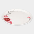 Melamine Full Plate, , small