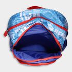 Kid's Paw Patrol Printed Fabric Bag, , small